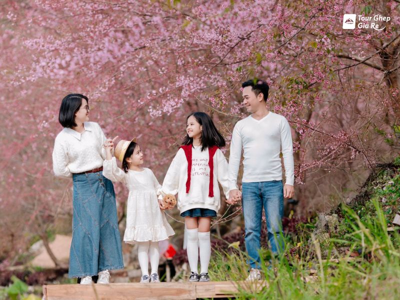 du-lich-moc-chau-mac-gi-dep-11.jpg (117 KB)