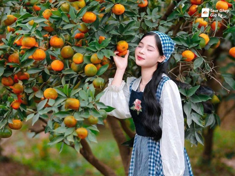 du-lich-moc-chau-mac-gi-dep-15.jpg (107 KB)