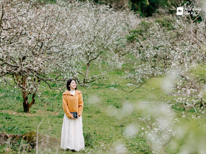 du-lich-moc-chau-mac-gi-dep-17.jpg (141 KB)