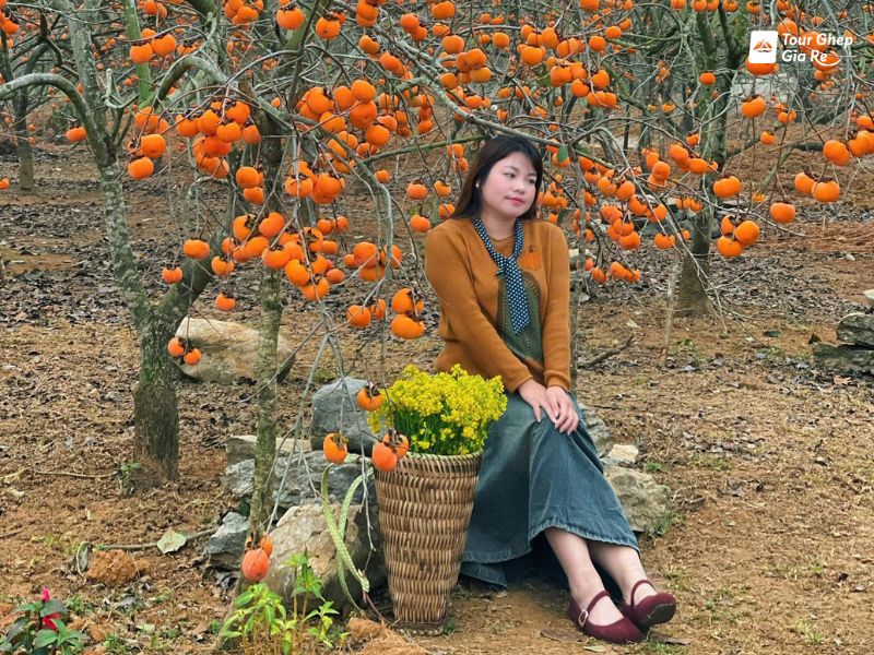 du-lich-moc-chau-mac-gi-dep-21.jpg (182 KB)