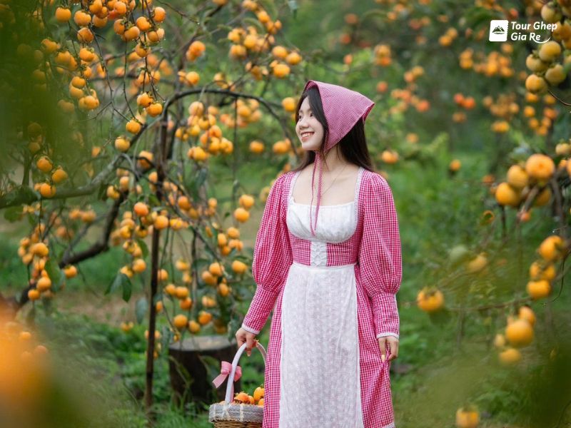 du-lich-moc-chau-mac-gi-dep-34.jpg (94 KB)