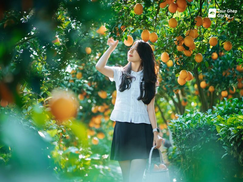 du-lich-moc-chau-mac-gi-dep-41.jpg (114 KB)