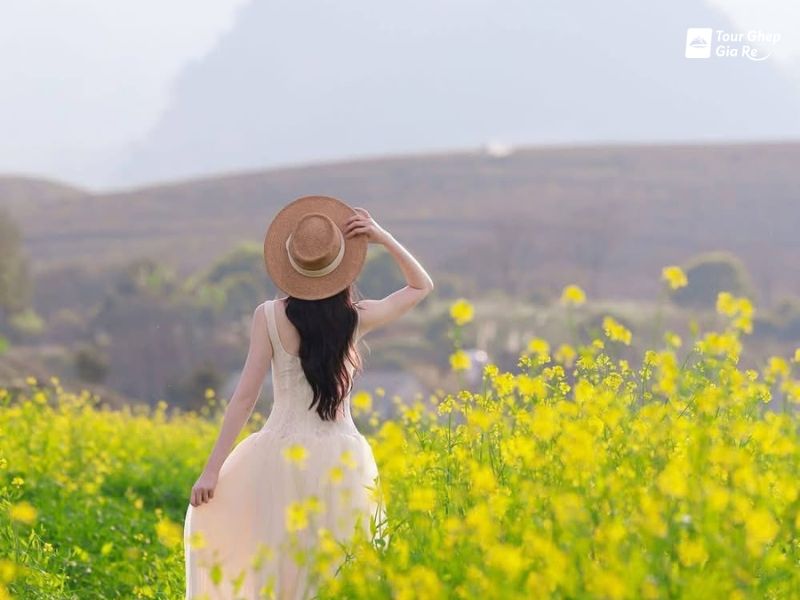 du-lich-moc-chau-mac-gi-dep-50.jpg (55 KB)