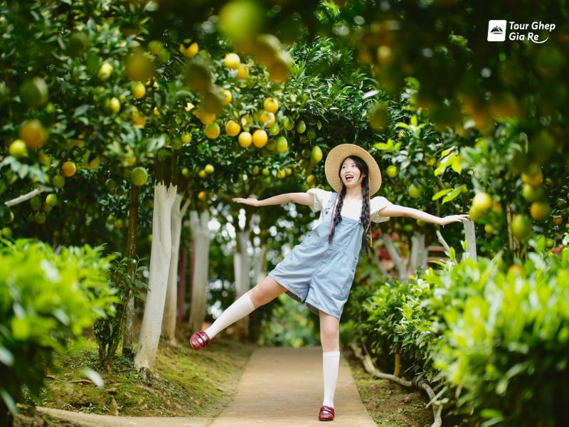 du-lich-moc-chau-mac-gi-dep-52.jpg (111 KB)