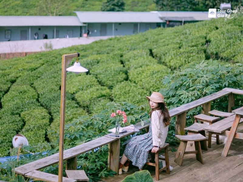 du-lich-moc-chau-mac-gi-dep-53.jpg (107 KB)