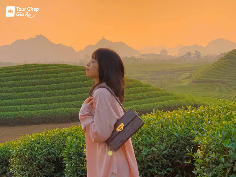 du-lich-moc-chau-mua-he-1.jpg (145 KB)