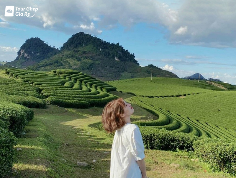 du-lich-moc-chau-mua-nao-dep-2.jpg (288 KB)