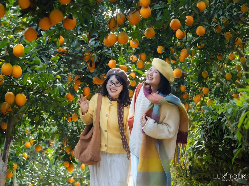 du-lich-moc-chau-thang-1-15.jpg (502 KB)