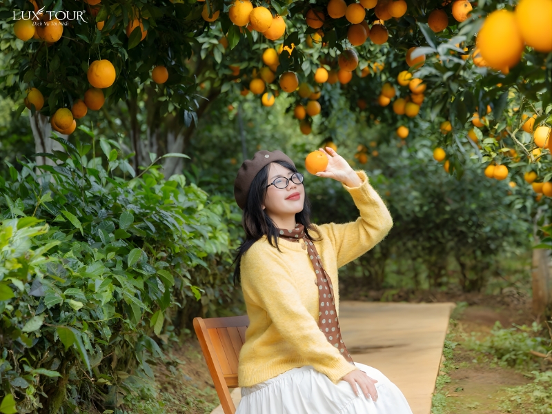 du-lich-moc-chau-thang-1-2.jpg (427 KB)