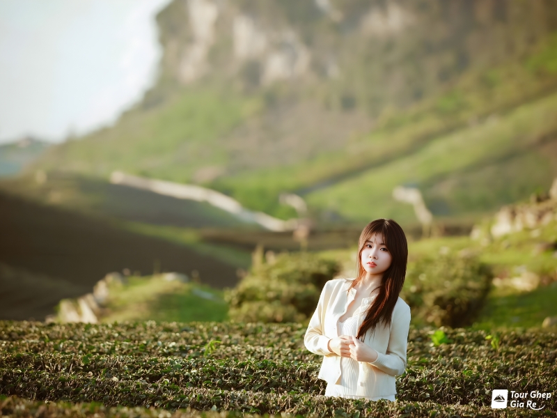 du-lich-moc-chau-thang-10-5.jpg (292 KB)