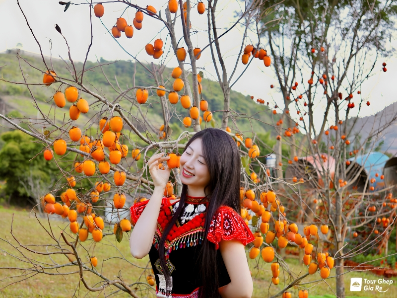 du-lich-moc-chau-thang-10-8.jpg (507 KB)