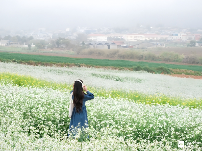 du-lich-moc-chau-thang-10-9.jpg (442 KB)