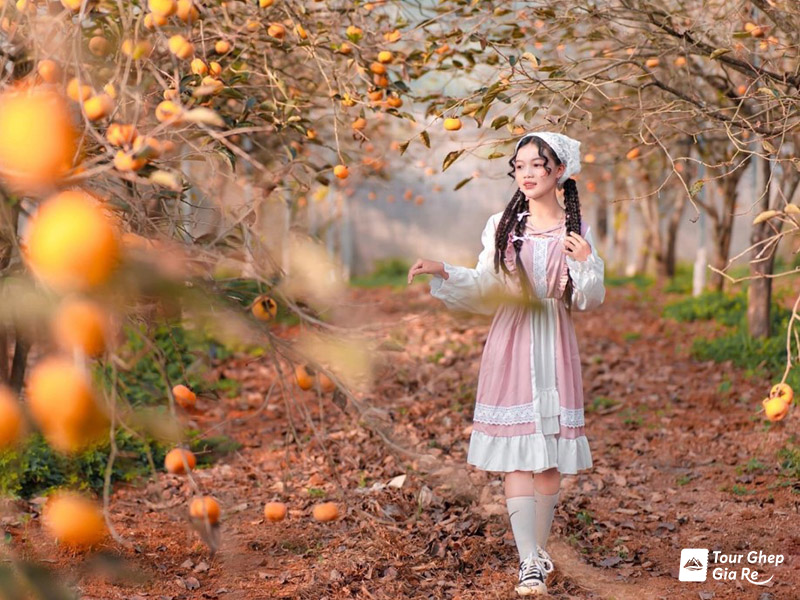 du-lich-moc-chau-thang-11-1.jpg (201 KB)