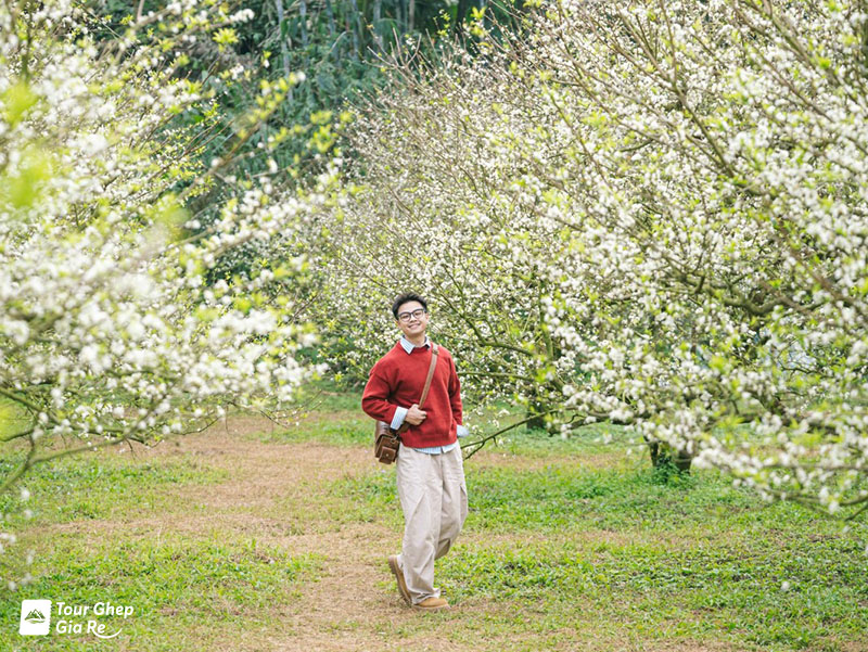 du-lich-moc-chau-thang-11-2.jpg (254 KB)