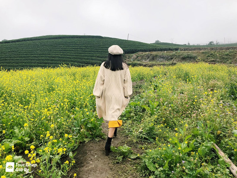 du-lich-moc-chau-thang-11-9.jpg (248 KB)