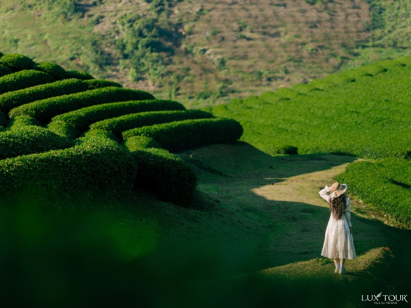 du-lich-moc-chau-thang-2-2.jpg (373 KB)