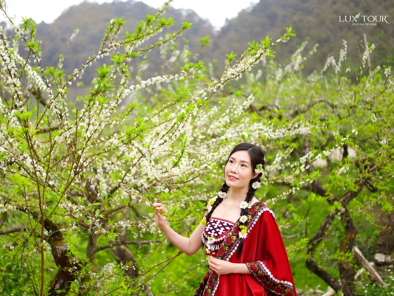 du-lich-moc-chau-thang-3-4.jpg (538 KB)