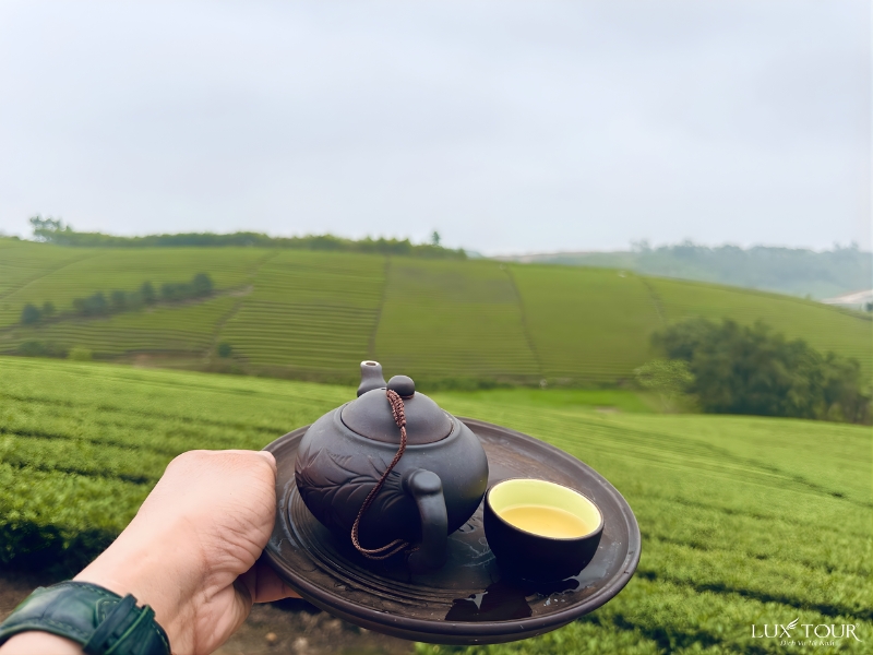 du-lich-moc-chau-thang-3-5.jpg (251 KB)