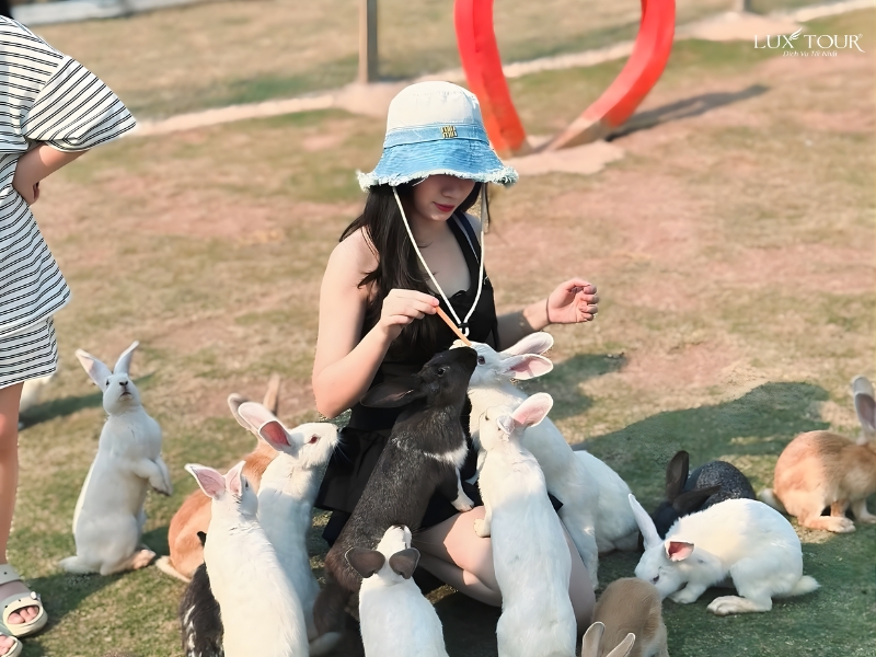 du-lich-moc-chau-thang-3-7.jpg (339 KB)