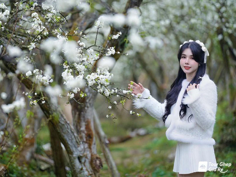 du-lich-moc-chau-thang-4-1.jpg (170 KB)