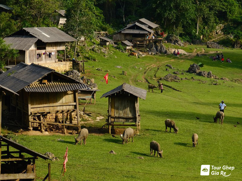 du-lich-moc-chau-thang-4-3.jpg (277 KB)