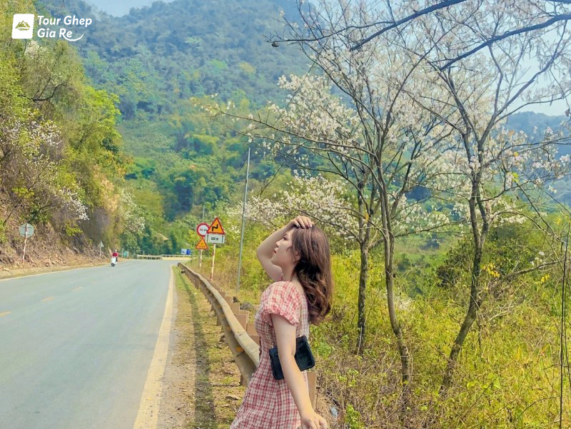 du-lich-moc-chau-thang-4-5.jpg (278 KB)