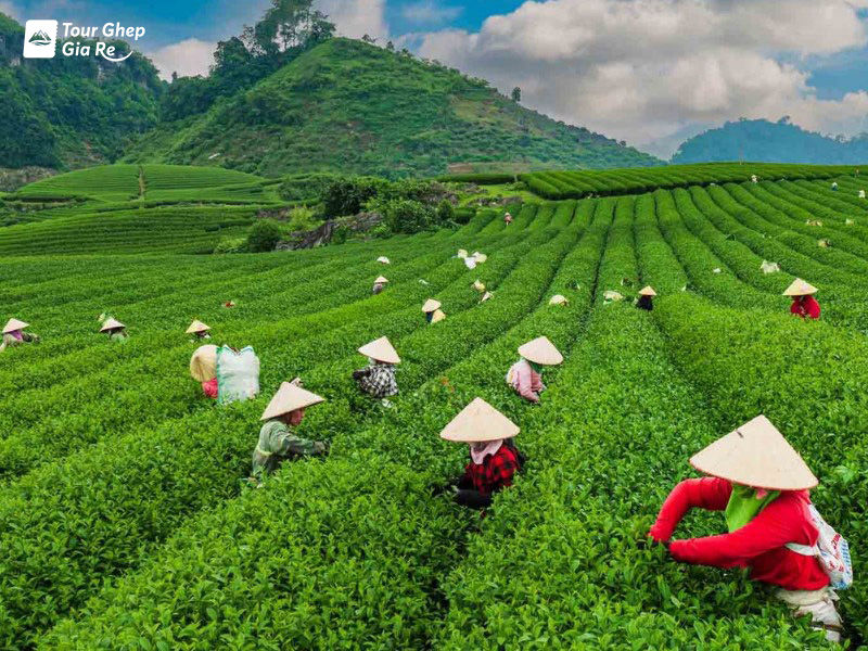 du-lich-moc-chau-thang-4.jpg (262 KB)