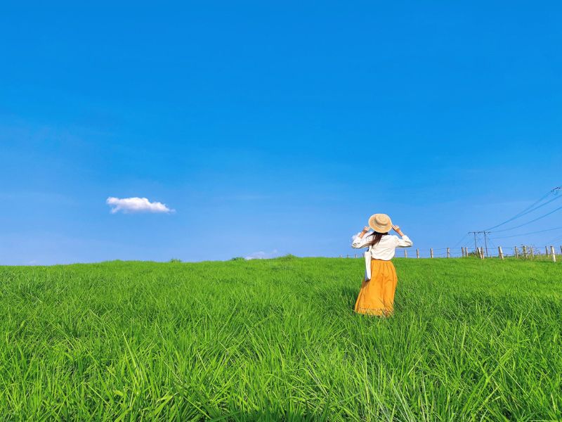 Kinh nghiệm du lịch Mộc Châu tháng 5 chi tiết không thể bỏ lỡ