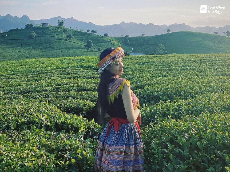 du-lich-moc-chau-thang-5-doi-che-tan-lap.jpg (152 KB)