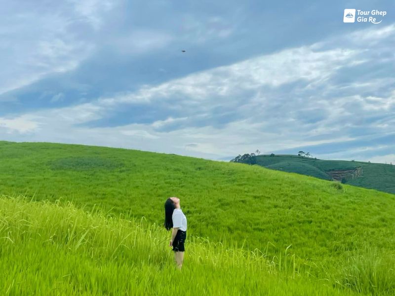 du-lich-moc-chau-thang-6-2.jpg (67 KB)