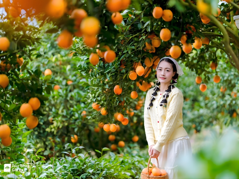 du-lich-moc-chau-thang-7-14.jpg (433 KB)