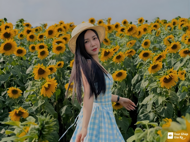 Du lịch Mộc Châu tháng 7 có gì đẹp? Ăn gì? Chơi gì?