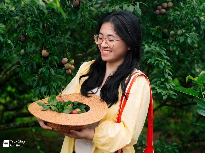 du-lich-moc-chau-thang-7-11.jpg (374 KB)