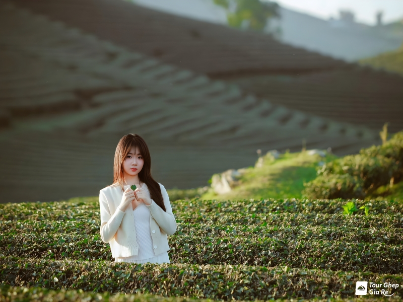 du-lich-moc-chau-thang-7-2.jpg (343 KB)