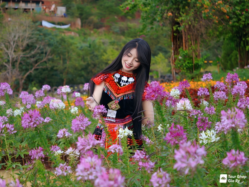 du-lich-moc-chau-thang-7-5.jpg (480 KB)