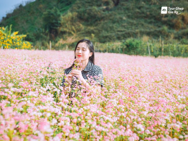 du-lich-moc-chau-thang-9-1.jpg (110 KB)