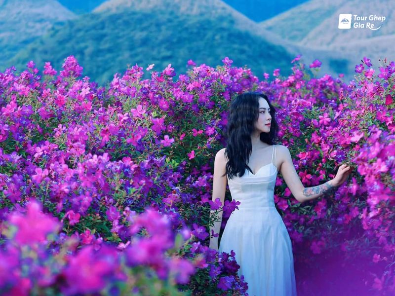 du-lich-moc-chau-thang-9-2.jpg (116 KB)