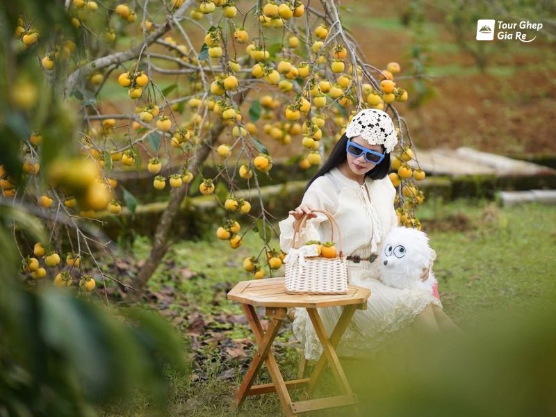 du-lich-moc-chau-thang-9-hong.jpg (90 KB)