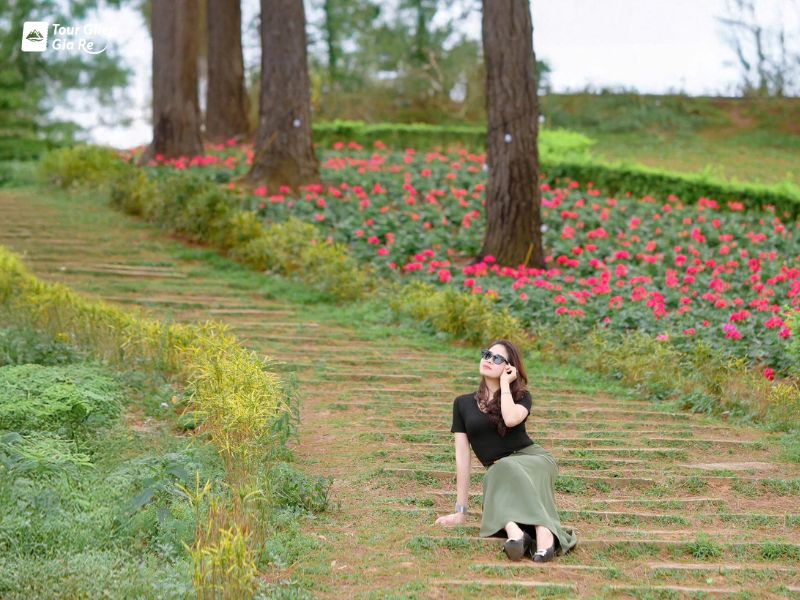 du-lich-moc-chau-thang-9-rung-thong-ban-ang.jpg (109 KB)