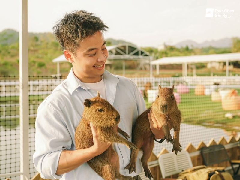 du-lich-moc-chau-thang-9-trang-trai-thu.jpg (74 KB)