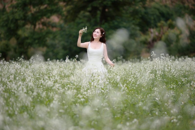 Hoa cải trắng Mộc Châu - Vẻ đẹp tinh khôi nơi thiên đường Tây Bắc