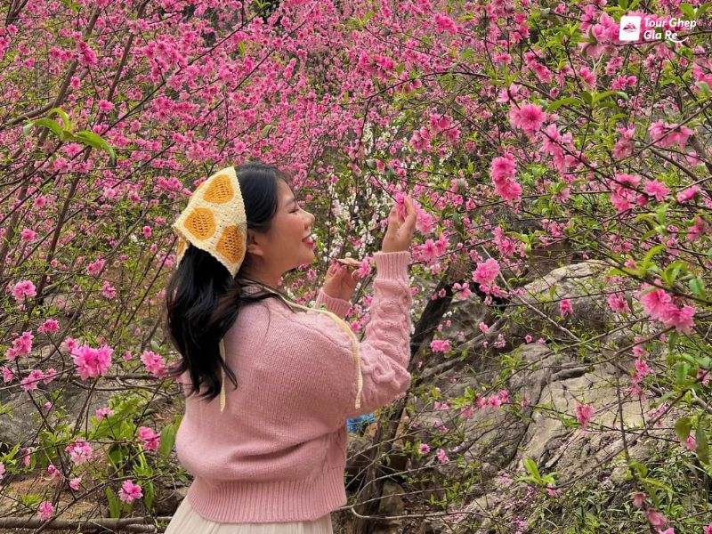 hoa-dao-moc-chau-4.jpg (191 KB)