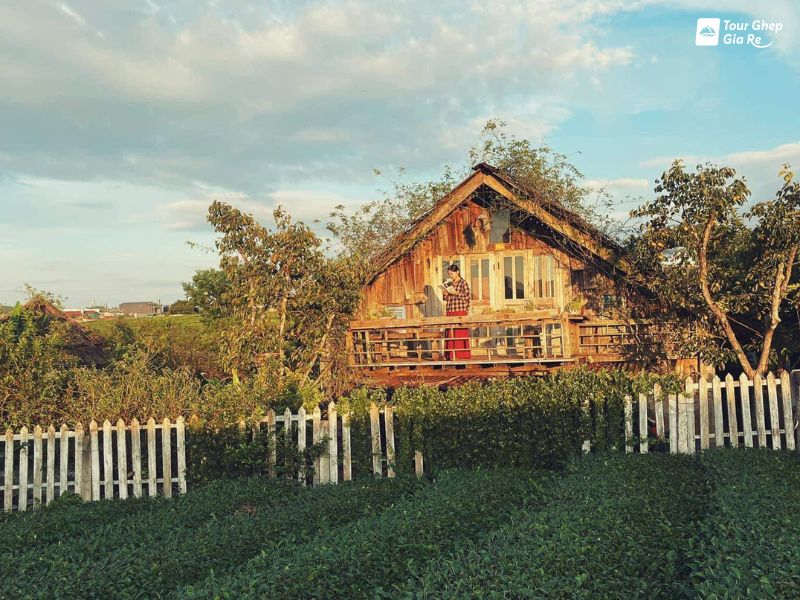 hoa-dao-moc-chau-6.jpg (128 KB)