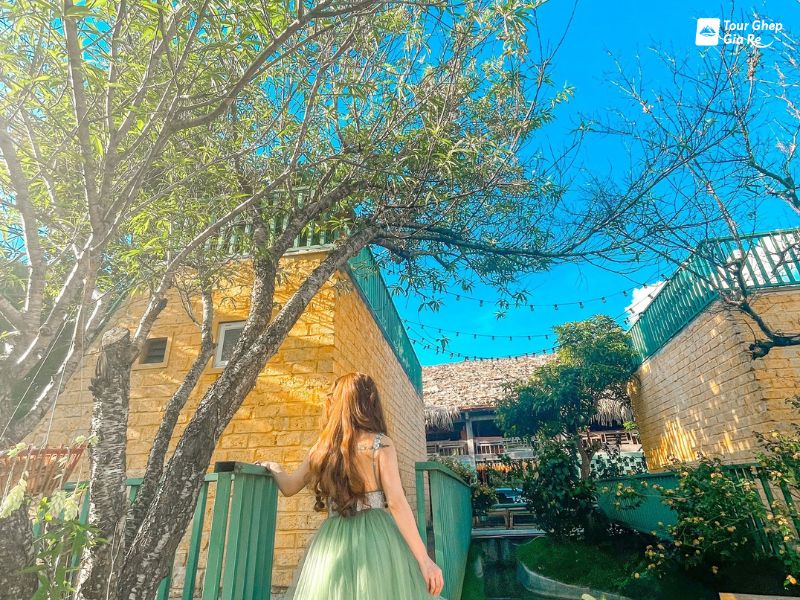 hoa-dao-moc-chau-7.jpg (178 KB)