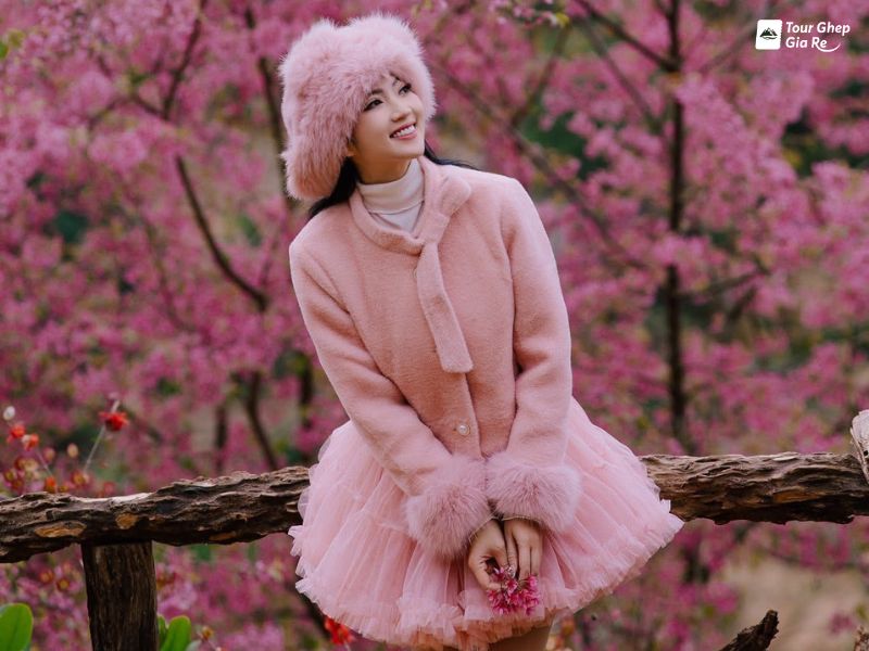 hoa-dao-moc-chau-8-1.jpg (80 KB)