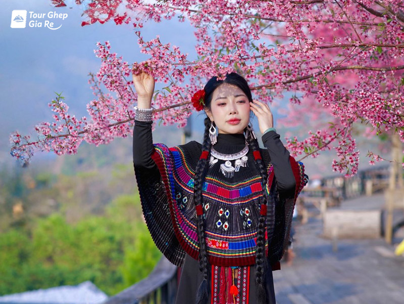 kinh-nghiem-du-lich-moc-chau-7.jpg (199 KB)