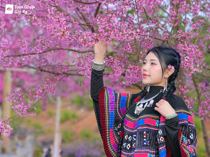 kinh-nghiem-du-lich-moc-chau.jpg (262 KB)