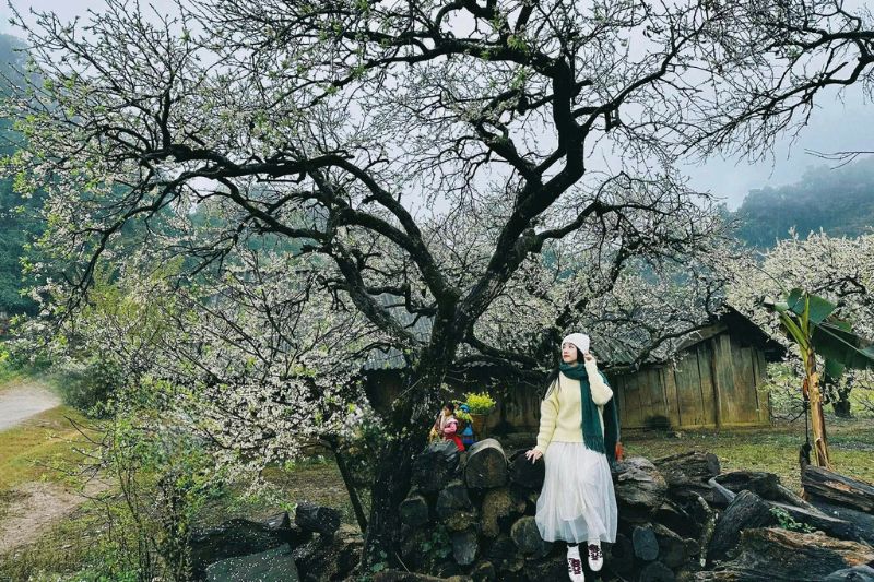 Mộc Châu mùa đông - Chạm khẽ vào giấc mơ mùa đông lãng mạn