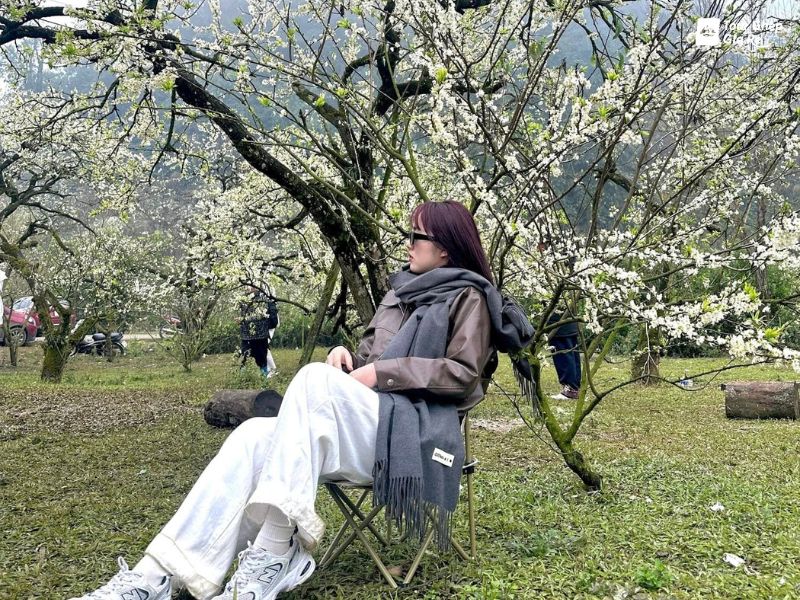 moc-chau-mua-dong-3.jpg (205 KB)