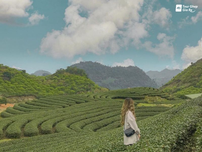 moc-chau-mua-dong-doi-che.jpg (100 KB)